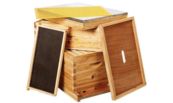 Big image bee castle 2