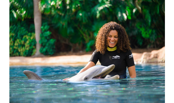 Big image 2306 landingpage dolphin encounter image 0478 361bfac5 5199 4ef8 b6bf 46f135e0cbb9