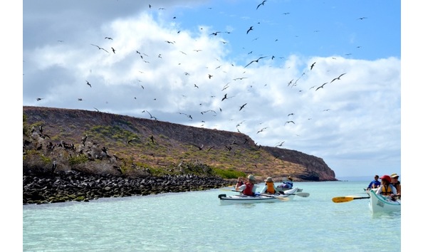 Big image baja sea kayaking