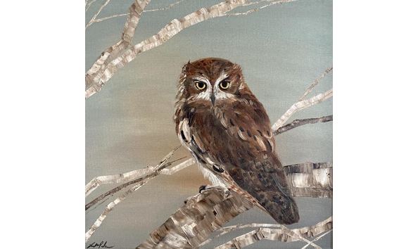 Big image screech owl 12x12  