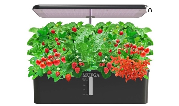 Big image hydroponics