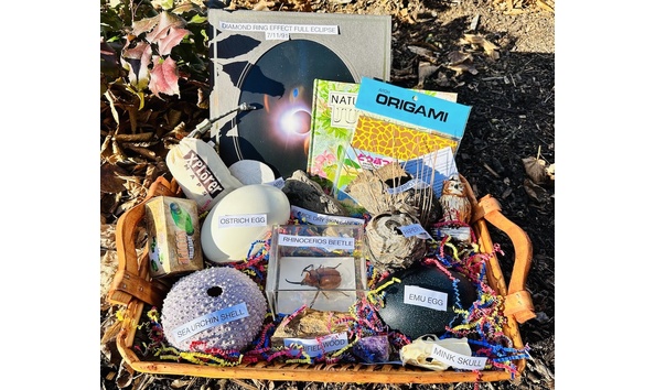 Big image natural history basket