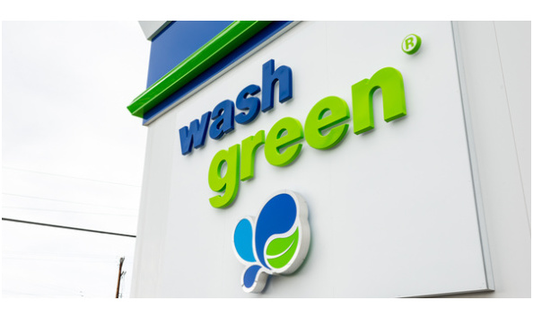 Big image brownbear1