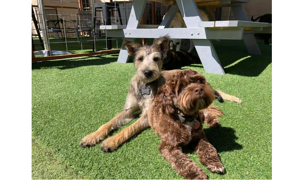 Big image 196510018 3993603460716921 1520335584575607184 n