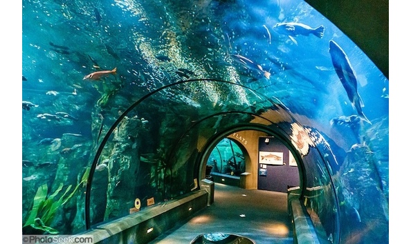 Big image i0000bdpu3mivqya