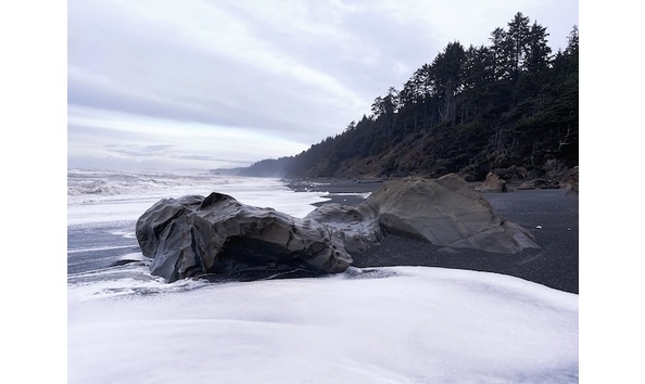 Big image geteway washington coast kalaloch lodge beach 3