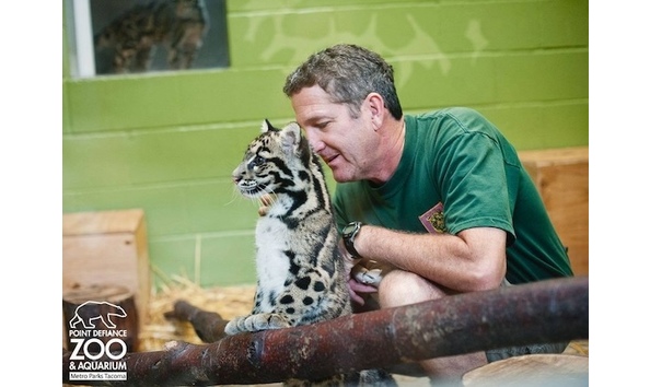 Big image 6a010535647bf3970b019aff726b34970c 800wi