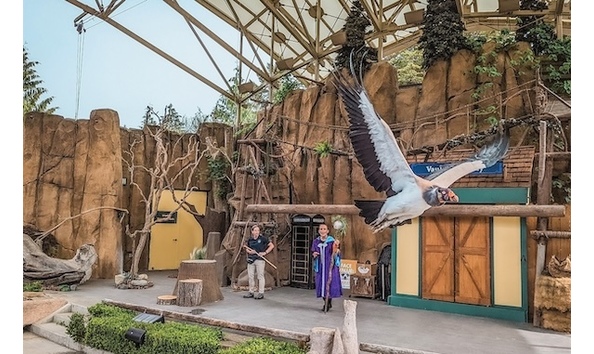 Big image pdza wild wonders bird flying credit natasha dillinger