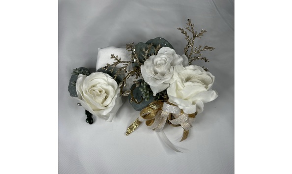 Big image img 6549