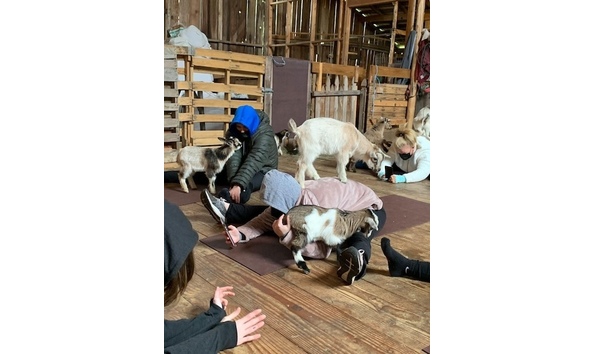 Big image 277102234 4899825123440204 6387304977256899372 n