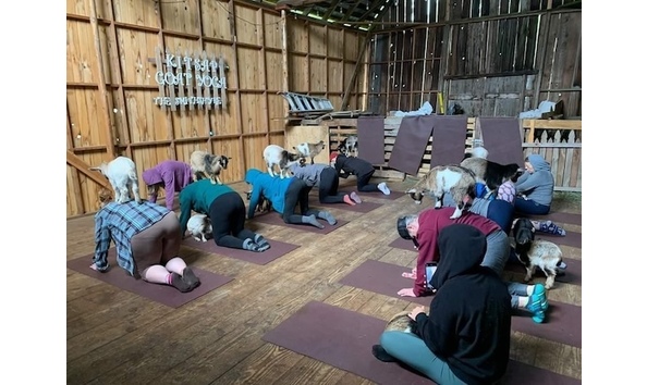 Big image 277170736 4902189273203789 8646641463458736032 n