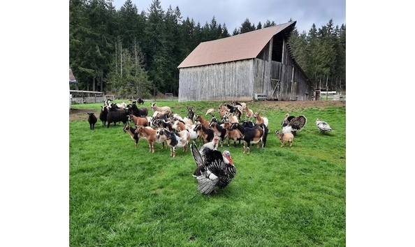 Big image 341683323 1892725237758407 2820107544257320501 n