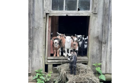 Big image 342350019 130195913293410 6492305135667970866 n