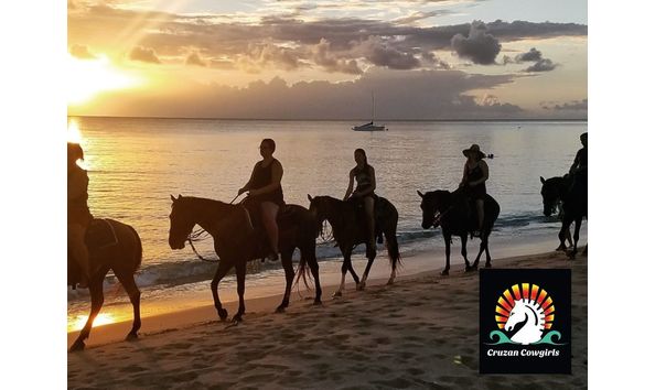 Big image mini magick20231201 41652 1g6qeri