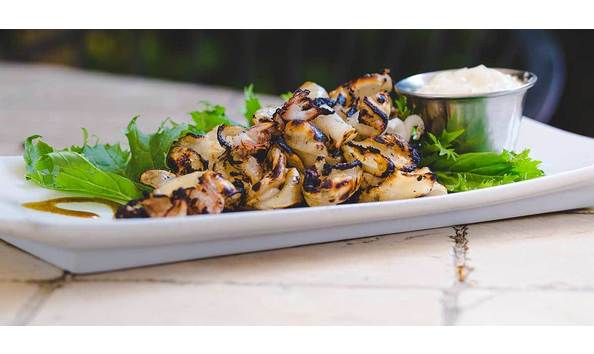 Big image savant home calamari