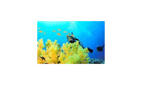 Big image stcroix scuba