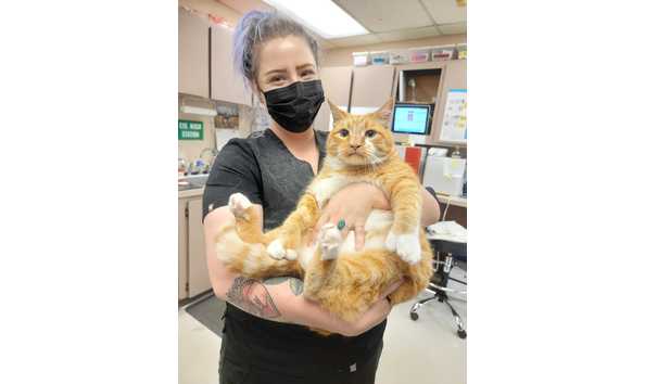 Big image 20211022 153706 copy 2