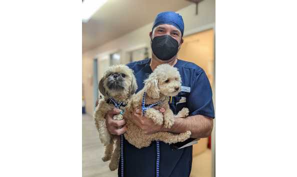 Big image pxl 20221101 144637267.portrait