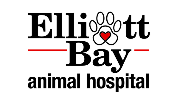 Big image ebah logo 2020 color