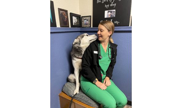 Big image img 3892 copy