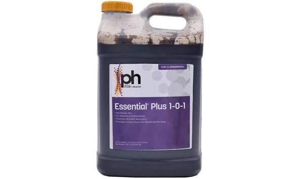 Big image mini magick20231205 57397 328m6l