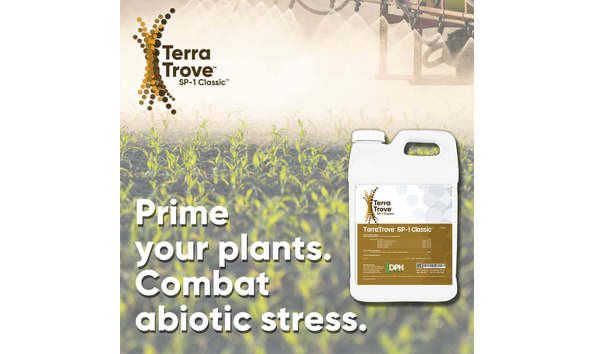 Big image terratrovesp 1 a8a409c2 41f3 488d 8483 abbf103259a7 1075x1075