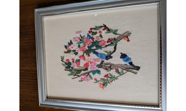 Big image pxl 20231207 173655378