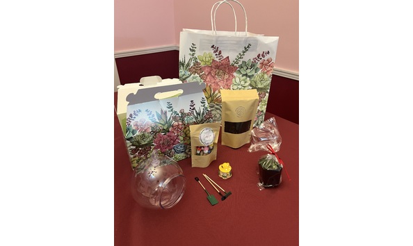 Big image terrarium kit 2