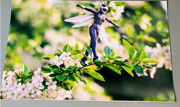 Big image 202212photo002   the wasp photo print