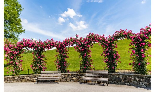 Big image 516254 rose arbor mathias  becca  commissioned as of 4 2022 