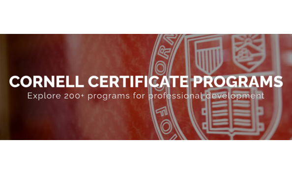 Big image ecornell 01