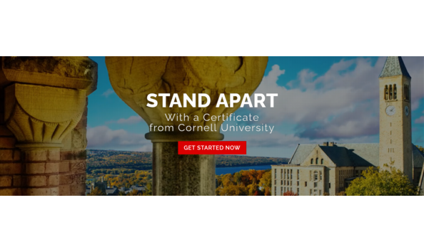 Big image ecornell 02