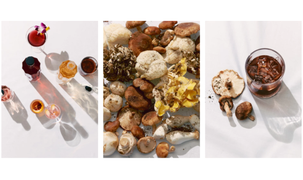 Big image yobo kish 02