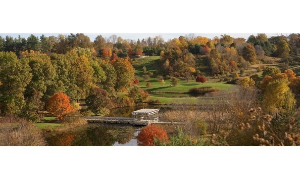 Big image big image cbp1