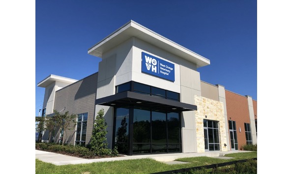 Big image mini magick20240123 40037 1s08et7