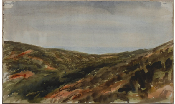 Big image scrubhill study  56x36