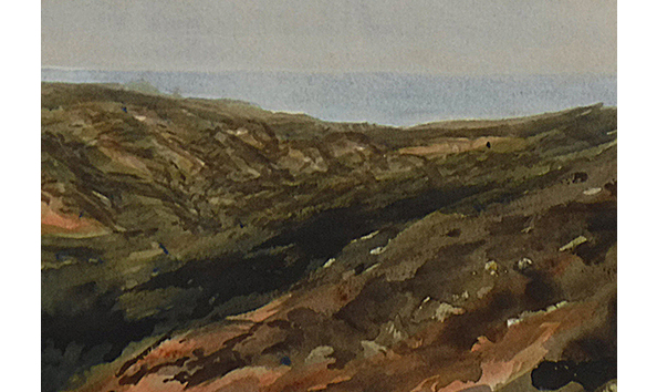 Big image scrubhill study  detail