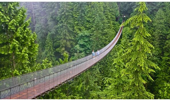Big image everything you need to know about the capilano suspension bridge