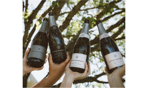 Big image screenshot 2024 02 02 at 5.17.29 pm