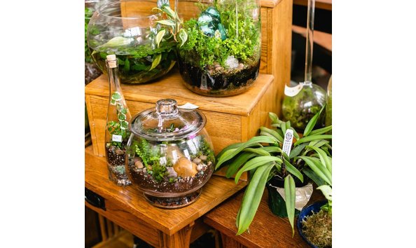 Big image dfbt4qeu0aa0yi3