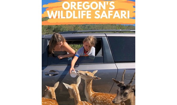 Big image unique oregon wildlife safari