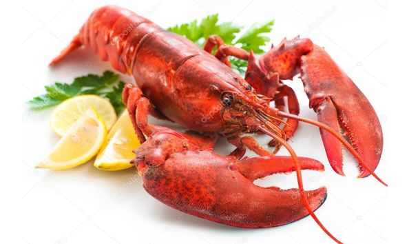 Big image mini magick20240204 57581 1x3hmdt