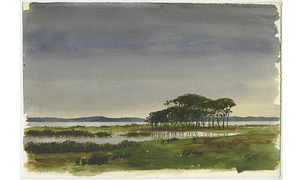 Big image kaipara manuka  600