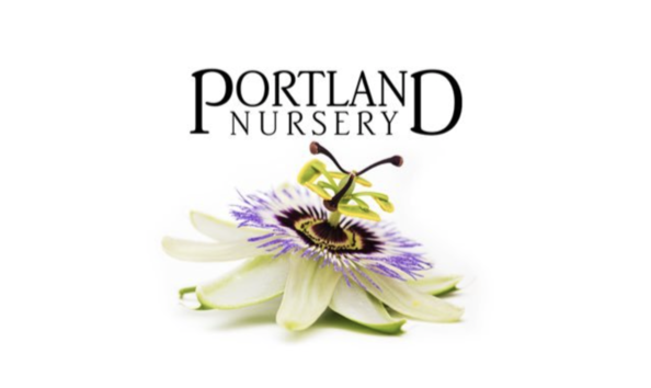 Big image screenshot 2024 02 06 at 12.23.59 pm