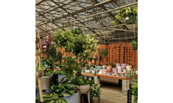 Big image screenshot 2024 02 06 at 12.24.43 pm