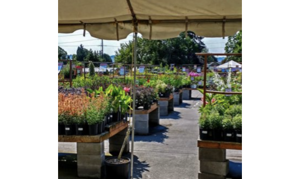 Big image screenshot 2024 02 06 at 12.24.59 pm