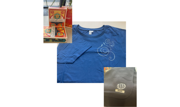 Big image esri item152