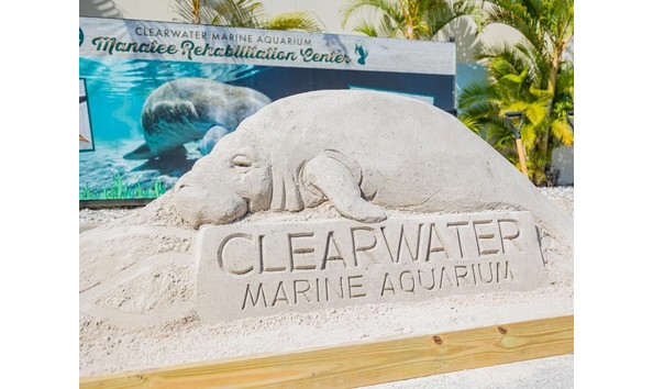 Big image clearwater 1