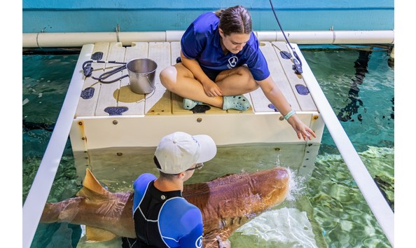 Big image clearwater 3