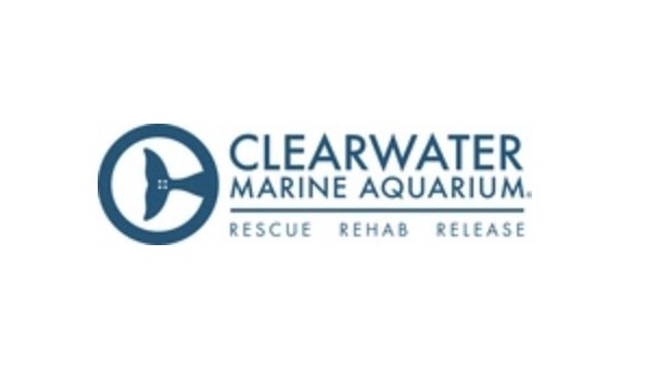 Big image clearwater